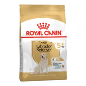 Royal Canin Labrador Retriever Ageing 5+