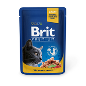 Brit Premium with Salmon & Trout