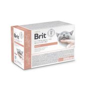 Brit Grain-Free VetDiets Renal with Salmon