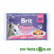 Brit Premium Cat Pouch Dinner Plate Jelly