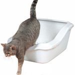 Туалеты для кошек